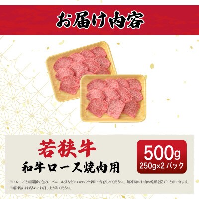 若狭牛 和牛ロース焼肉用 計500g(250g × 2パック)
