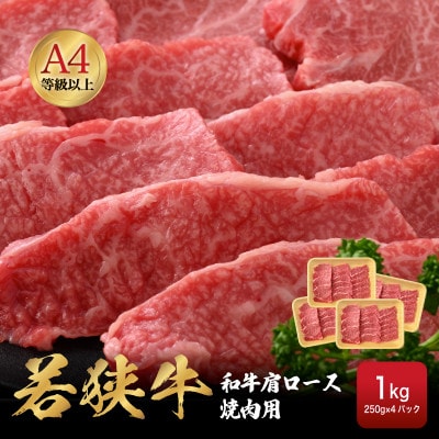 若狭牛 和牛肩ロース焼肉用 計1kg(250g × 4パック)