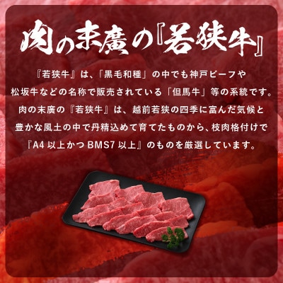 若狭牛 和牛肩ロース焼肉用 計500g(250g × 2パック)