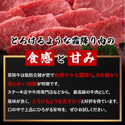 若狭牛 和牛肩ロース焼肉用 計500g(250g × 2パック)