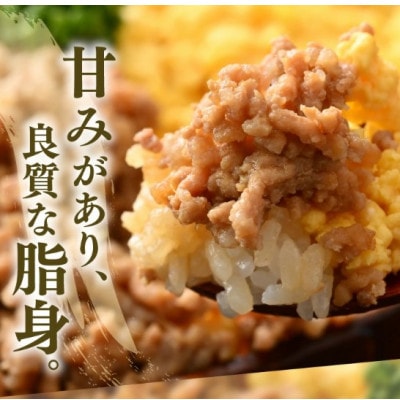 「福井県ブランド豚」ふくいポーク100% ミンチ 1kg(500g × 2パック)