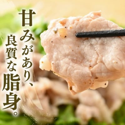 「福井県ブランド豚」ふくいポーク 肩ロース薄切 600g(300g × 2パック)