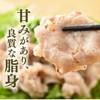 「福井県ブランド豚」ふくいポーク 肩ロース薄切 900g(300g × 3パック)