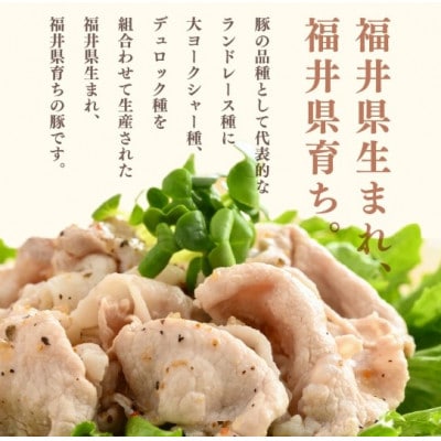 「福井県ブランド豚」ふくいポーク 肩ロース薄切 2.4kg(300g × 8パック)