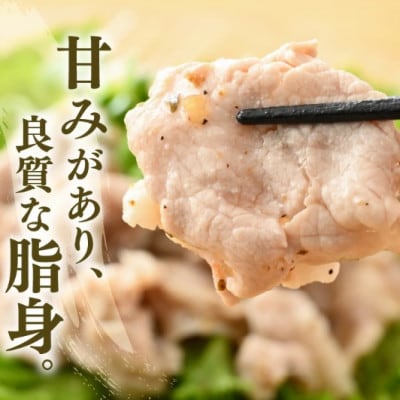 「福井県ブランド豚」ふくいポーク 肩ロース薄切 2.4kg(300g × 8パック)
