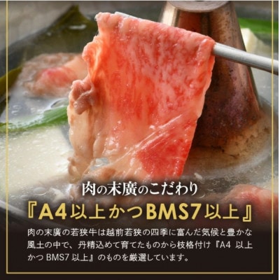 「福井県ブランド肉」贅沢食べ比べ 若狭牛 ふくいポーク 合計1.4kg