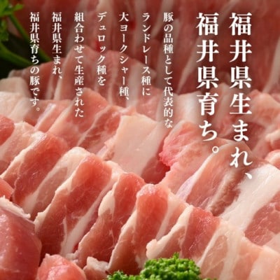 「福井県ブランド豚」ふくいポーク バラ焼肉 1.8kg(300g × 6パック)
