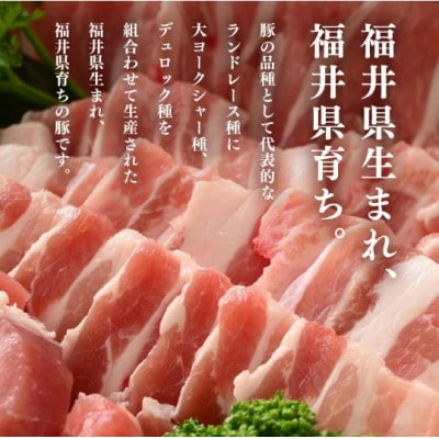 「福井県ブランド豚」ふくいポーク バラ焼肉 2.4kg(300g × 8パック)