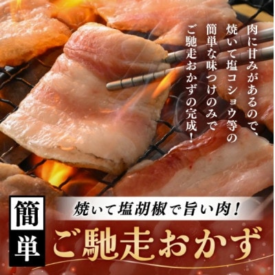 「福井県ブランド豚」ふくいポーク バラ焼肉 2.4kg(300g × 8パック)