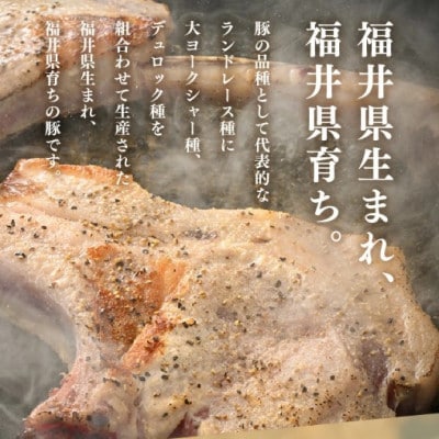 「福井県ブランド豚」ふくいポーク ポークチョップ 骨付き豚ロース 6本