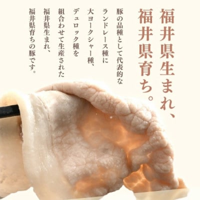「福井県ブランド豚」ふくいポーク ロース薄切 900g(300g × 3パック)