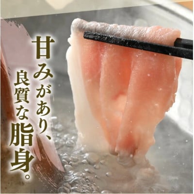 「福井県ブランド豚」ふくいポーク ロース薄切 1.8kg(300g × 6パック)