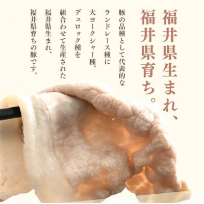 「福井県ブランド豚」ふくいポーク ロース薄切 2.4kg(300g × 8パック)