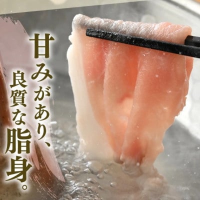 「福井県ブランド豚」ふくいポーク ロース薄切 2.4kg(300g × 8パック)
