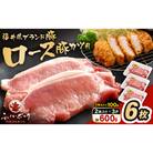 「福井県ブランド豚」ふくいポーク ロース 100g × 6枚 合計600g(2枚入り × 3p)