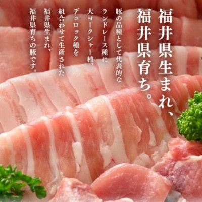 「福井県ブランド豚」ふくいポーク 豚バラスライス 1.8kg(300g × 6パック)