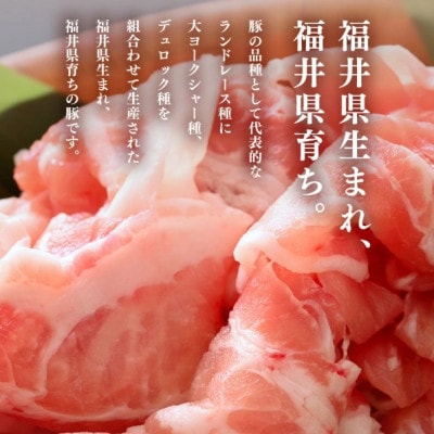 【3ヵ月毎定期便】「福井県ブランド豚」ふくいポーク 切り落とし 500g× 1パック全4回