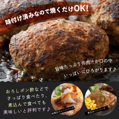 【毎月定期便】若狭牛入り 手ごね ハンバーグ 10個セット 計1.3kg全3回