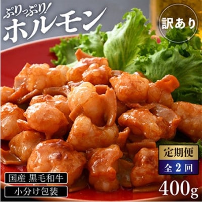 【2ヵ月毎定期便】【訳あり】黒毛和牛 ぷりっぷりのホルモン 特製タレ味付き400g全2回
