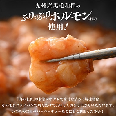 【2ヵ月毎定期便】【訳あり】黒毛和牛 ぷりっぷりのホルモン 特製タレ味付き400g全2回