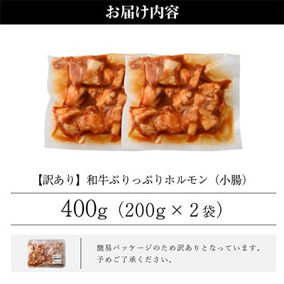 【2ヵ月毎定期便】【訳あり】黒毛和牛 ぷりっぷりのホルモン 特製タレ味付き400g全2回