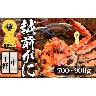 【中】浜ゆで!越前ずわいがに(タグ付きブランド蟹)1杯【11月発送】