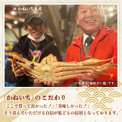 【かねいち特撰】希少!浜ゆで!黄金ガニ(大サイズ)