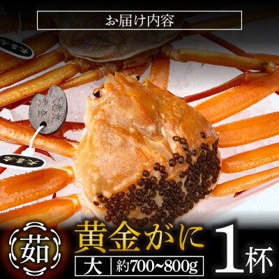 【かねいち特撰】希少!浜ゆで!黄金ガニ(大サイズ)