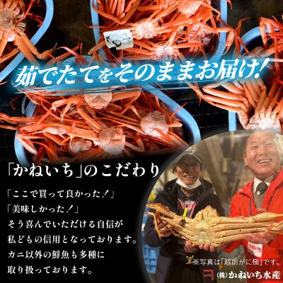 【さとふる限定】＜浜ゆで＞越前産 紅ずわいがに　2杯【紅ズワイガニ】