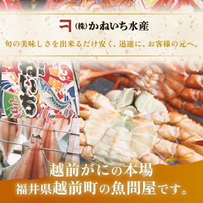 【さとふる限定】＜浜ゆで＞越前産 紅ずわいがに　2杯【紅ズワイガニ】