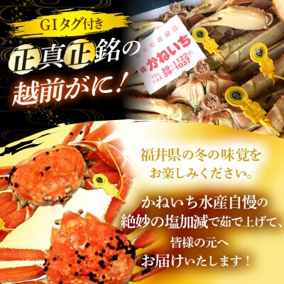 ≪浜茹で≫越前がに 大サイズ × 1杯【2月発送分】