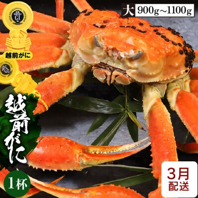 ≪浜茹で≫越前がに 大サイズ × 1杯【3月発送分】