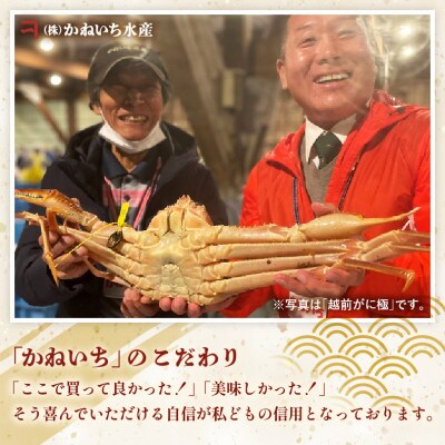 ≪浜茹で≫越前がに 特大サイズ × 1杯【2月発送分】