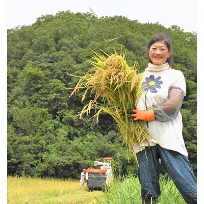 女子目線で開発 純米大吟醸酒「さくら鞠子(まりこ)」(720ml)