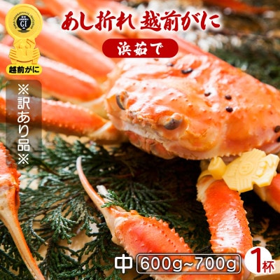 地元鮮魚店厳選 【訳あり】 ≪浜茹で≫ 足折れ 越前がに 中サイズ 1杯【11月発送分】