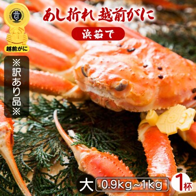 地元鮮魚店厳選 【訳あり】 ≪浜茹で≫ 足折れ 越前がに 大サイズ 1杯【1月発送分】