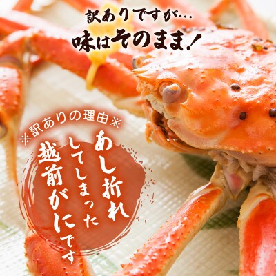 地元鮮魚店厳選 【訳あり】 ≪浜茹で≫ 足折れ 越前がに 大サイズ 1杯【1月発送分】