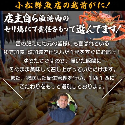 地元鮮魚店厳選 【訳あり】 ≪浜茹で≫ 足折れ 越前がに 大サイズ 1杯【1月発送分】