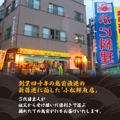 地元鮮魚店厳選 【訳あり】 ≪浜茹で≫ 足折れ 越前がに 大サイズ 1杯【1月発送分】