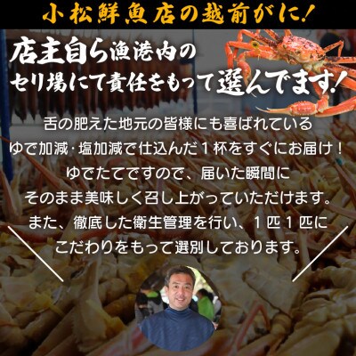 地元鮮魚店厳選 ≪浜茹で≫ 越前がに 大サイズ 1杯【1月発送分】