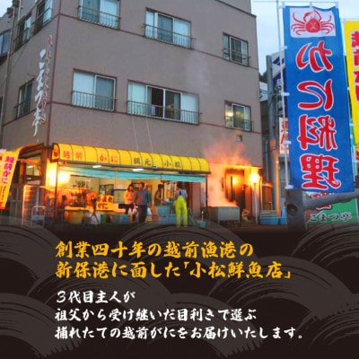 地元鮮魚店厳選 ≪浜茹で≫ 越前がに 大サイズ 1杯【1月発送分】