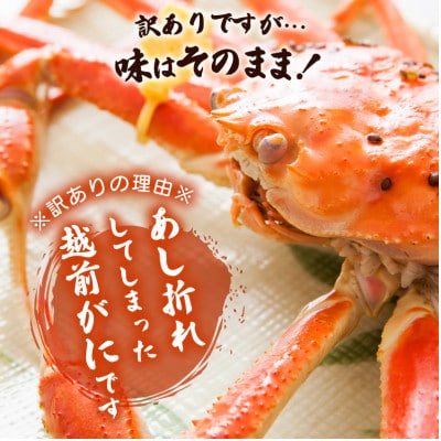 地元鮮魚店厳選 【訳あり】 ≪浜茹で≫ 足折れ 越前がに 中サイズ 1杯【2月発送分】