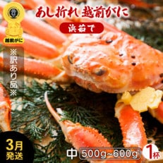 地元鮮魚店厳選 【訳あり】 ≪浜茹で≫ 足折れ 越前がに 中サイズ 1杯【3月発送分】