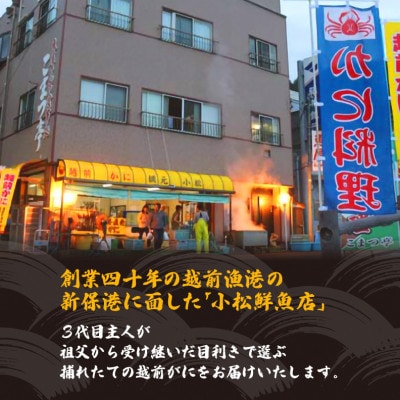 地元鮮魚店厳選 ≪浜茹で≫ 越前がに 大サイズ 1杯【12月発送分】