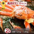 地元鮮魚店厳選 ≪浜茹で≫ 越前がに 中サイズ 2杯【1月発送分】