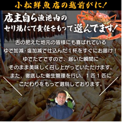 地元鮮魚店厳選 ≪浜茹で≫ 越前がに 中サイズ 2杯【3月発送分】
