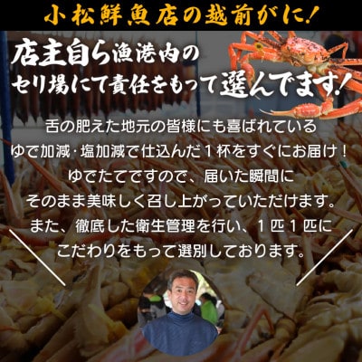 地元鮮魚店厳選 ≪浜茹で≫ 越前がに 大きめサイズ 1杯【11月発送分】