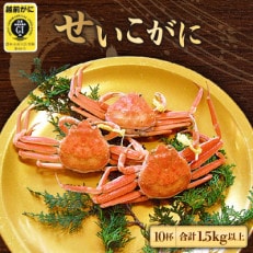 地元鮮魚店厳選 ≪浜茹で≫ 越前せいこがに 10杯【11・12月発送】