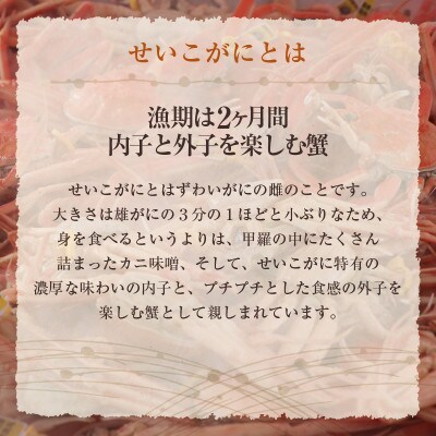 地元鮮魚店厳選 ≪浜茹で≫ 越前せいこがに 10杯【11・12月発送】
