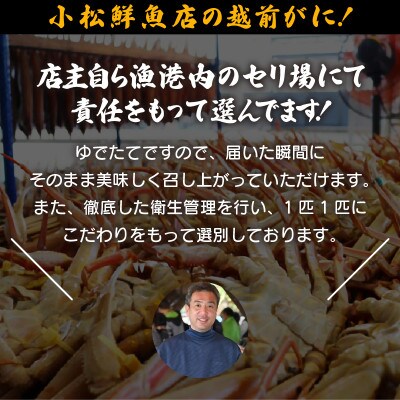 地元鮮魚店厳選 ≪浜茹で≫ 越前せいこがに 10杯【11・12月発送】